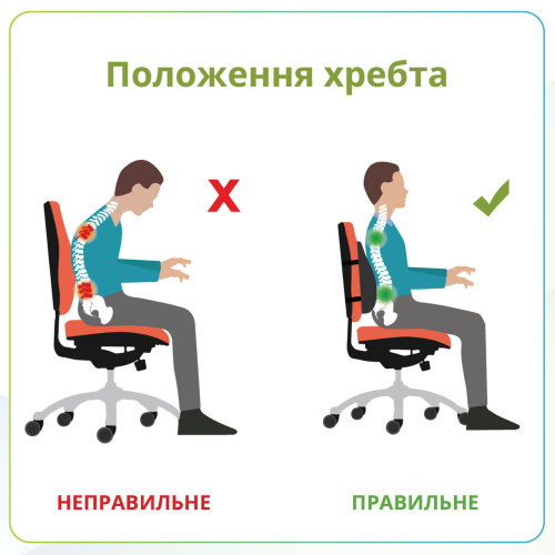 Ортопедична подушка під спину Correct Shape - Сorrect Line Max (Memory Foam)